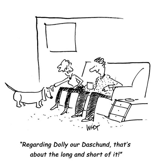 Regarding Dolly our Daschund, that's about the long and short of it!