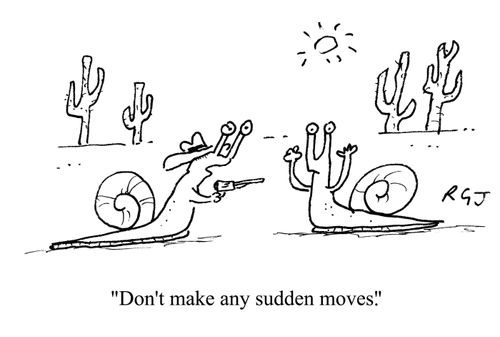 'Don't make any sudden moves.'