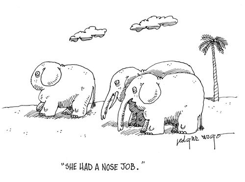 'She had a nose job.'