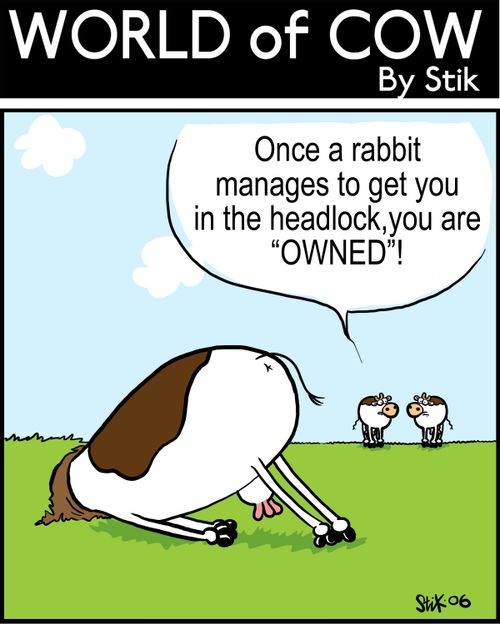 Once a rabbit manages to get you in a headlock, you are 'OWNED'!
