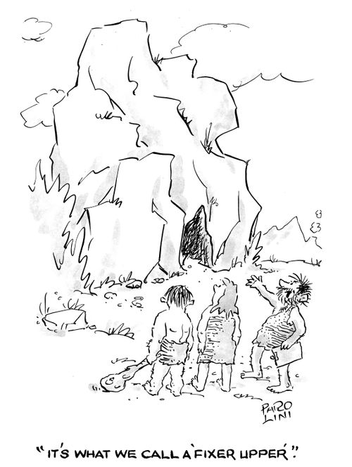 'It's what we call a 'fixer upper'.'