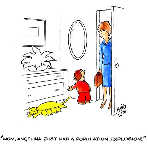 'Mom, Angelina just had a population explosion!'