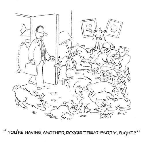 'You're having antoher doggie treat party, right?'