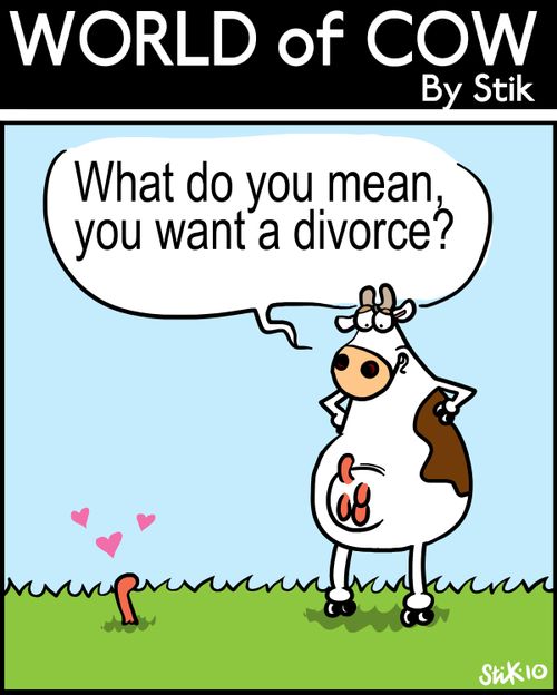 'What do you mean, you want a divorce?'