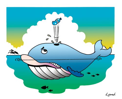 The whale and the plastic bottle.