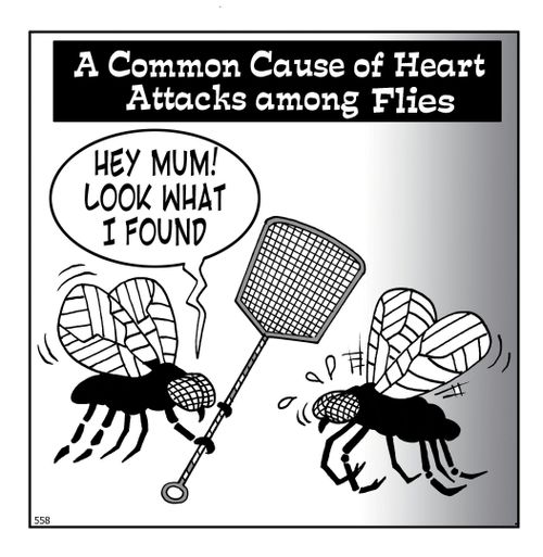 A Common Cause of Heart Attacks Among Flies.