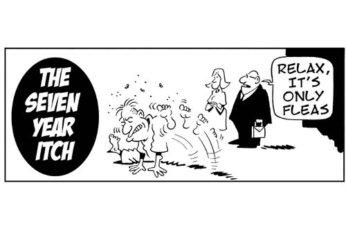 The seven year itch. 'Relax, it's only fleas.'