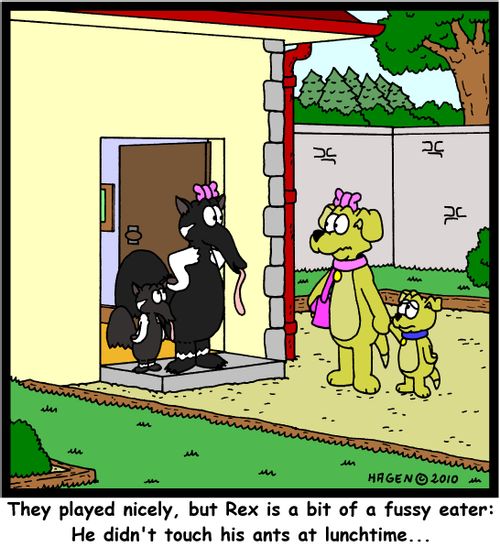 'They played nicely, but Rex is a bit of a fussy eater: He didn't touch his ants at lunchtime...'