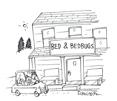 Bed & Bedbugs.
