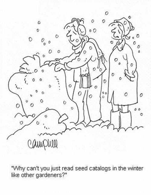 'Why can't you just read seed catalogs in the winter like other gardeners?'