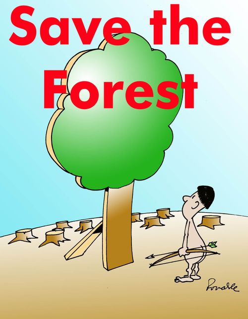Save the forest.