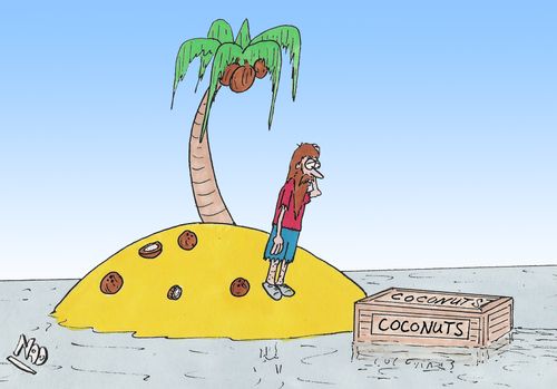Castaway stranded on a desert island with only one coconut palm for survival finds a box of coconuts