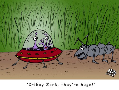 'Crikey Zork, they're huge!'