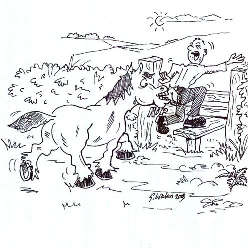 Horse bite.