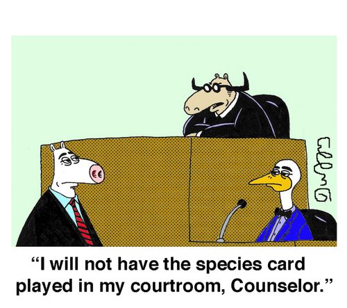 'I will not have the species card played in my courtroom, Counselor.'