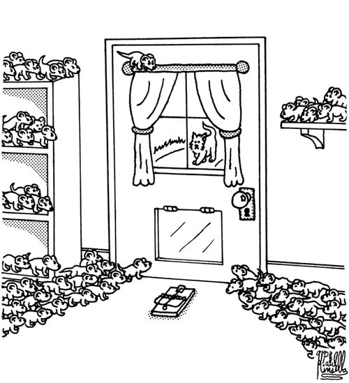 Rebel mice preparing to ambush a cat.
