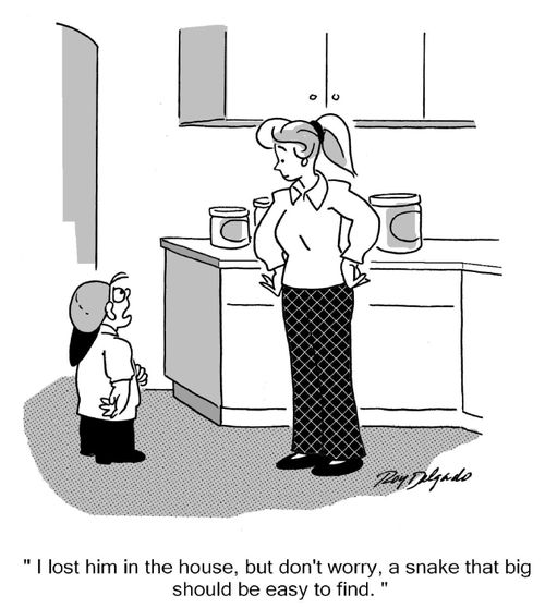 'I lost him in the house, but don't worry, a snake that big should be easy to find.'