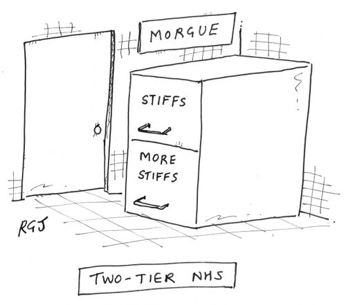 'Two-tier NHS.'