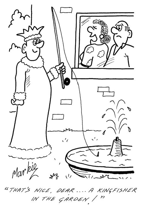 "That's nice, dear....a kingfisher in the garden!"