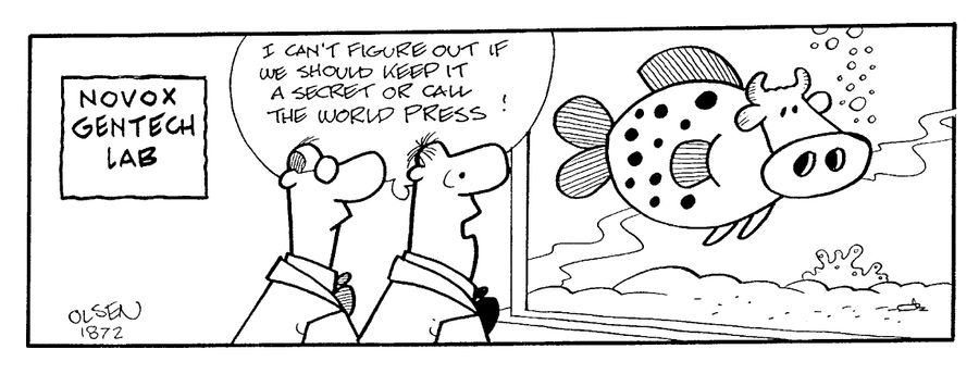 "I can't figure if we should keep it a secret or call the world press!"