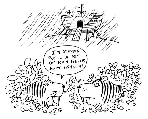 Noah's Ark - "I'm staying put, a bit of rain never hurt anyone."