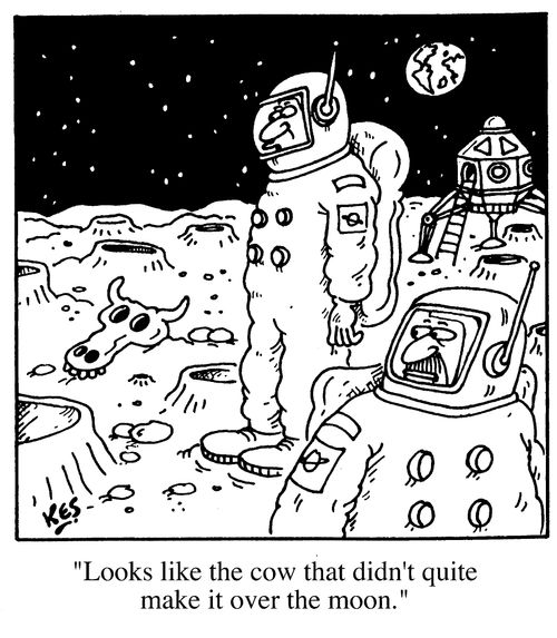 "Looks like the cow that didn't quite make it over the moon!"