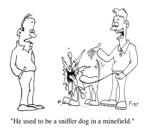 Minefield sniffer dog