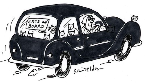 Cats on Board.