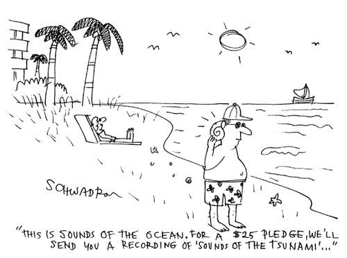 'This is sounds of the ocean. For a $25 pledge, we'll send you a recording of 'Sounds of the Tsunami'.....' 