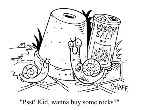 'Psst! Kid, wanna buy some rocks?'