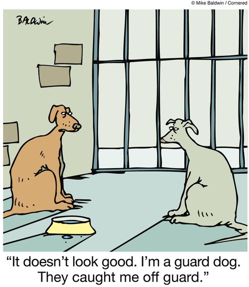 'It doesn't look good. I'm a guard dog. They caught me off guard.'