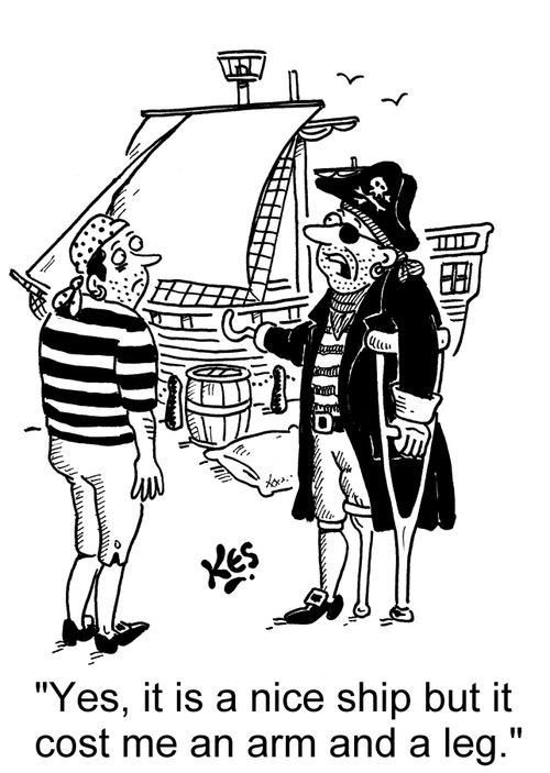'Yes, it is a nice ship but it cost me an arm and a leg.'