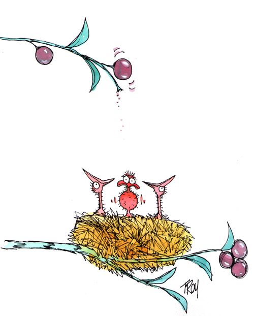 Bird's nest.