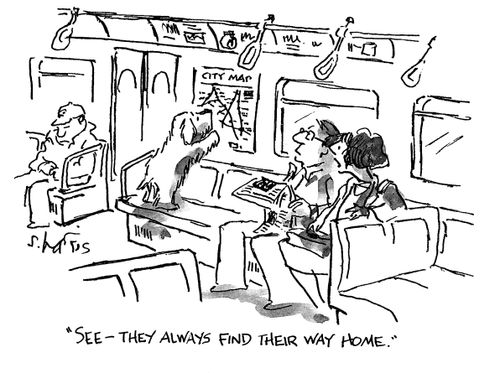 'See - they always find their way home.'