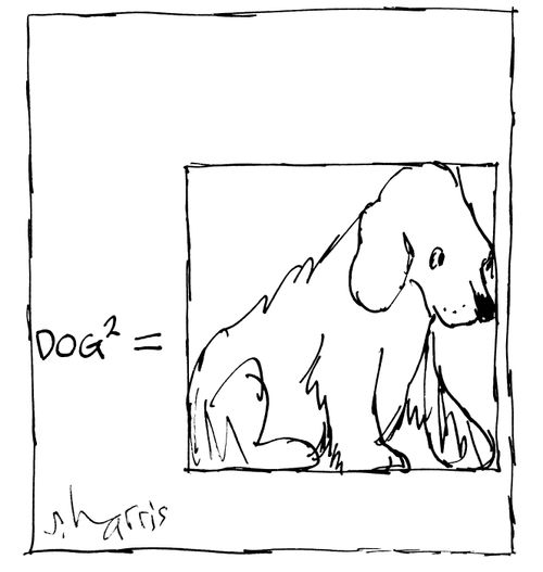Dog squared equals...