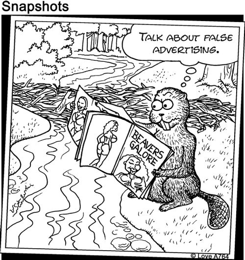 'Talk about false advertising.'