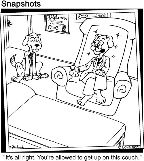 'It's all right. You're allowed to get up on this couch.'
