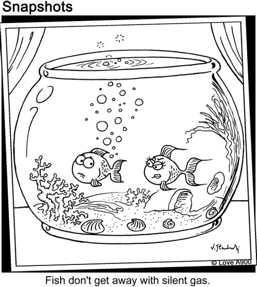 Fish don't get away with silent gas.