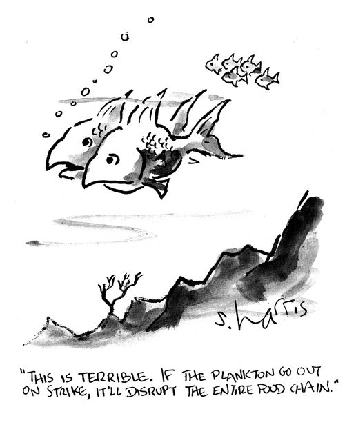 'This is terrible.  If the plankton go out on strike, it'll disrupt the entire food chain.'