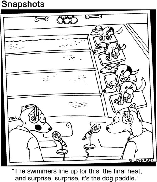 'The swimmers line up for this, the final heat, and surprise, surprise, It's the dog paddle.'