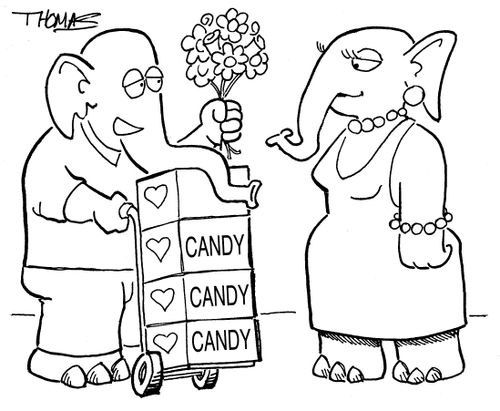Male elephant giving female flowers and LOTS of candy.
