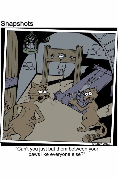 'Can't you just bat them between your paws like everyone else?'