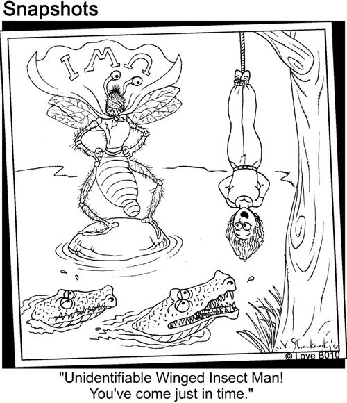 Undentifiable winged insect Man! You've come just in time.
