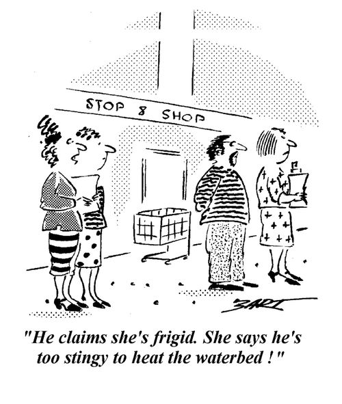 "He claims she's frigid. She says he's too stingy to heat the waterbed."