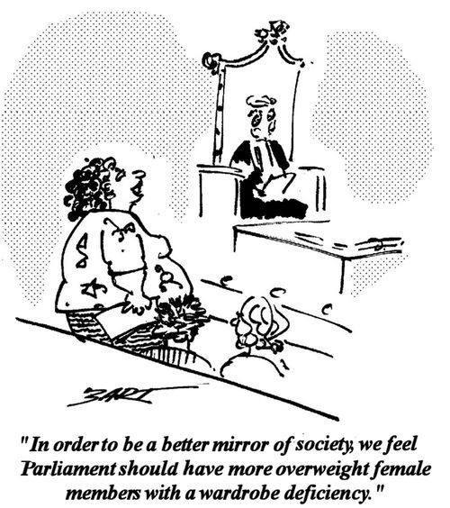 "In order to be a better mirror of society, we feel parliament should have more overweight female members with a wardrobe deficiency."