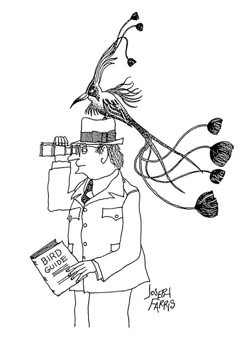 Bird Guide.
