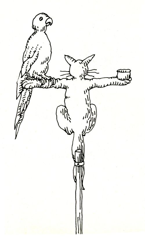 101 uses of a dead cat: parrot stand.