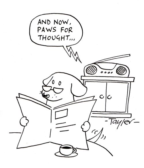 Dog listening to ''Paws For Thought'' on the radio.