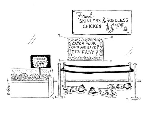 Fresh skinless and boneless chicken