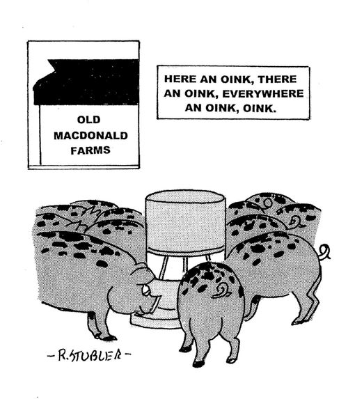 Hogs at the old mcdonald farm.